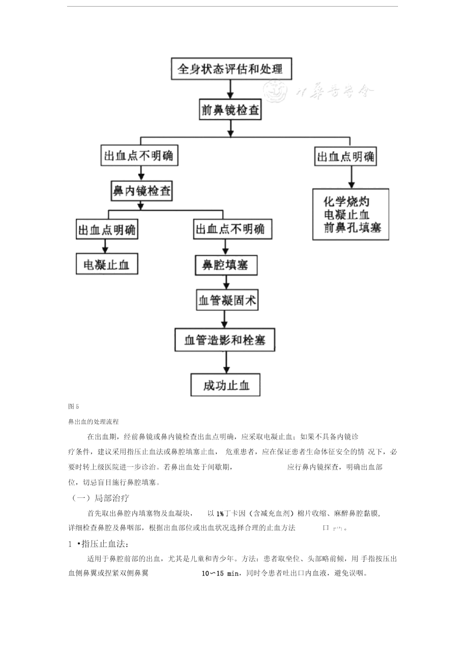 鼻出血诊断及治疗指南(草案).doc_第3页