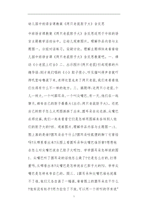 2021年公立普惠性幼儿园通用幼教教师课程教学指南中班语言课教案《两只老鼠胆子大》含反思.doc