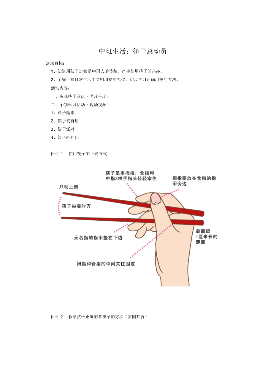 中班生活《筷子总动员》_1611.docx_第1页