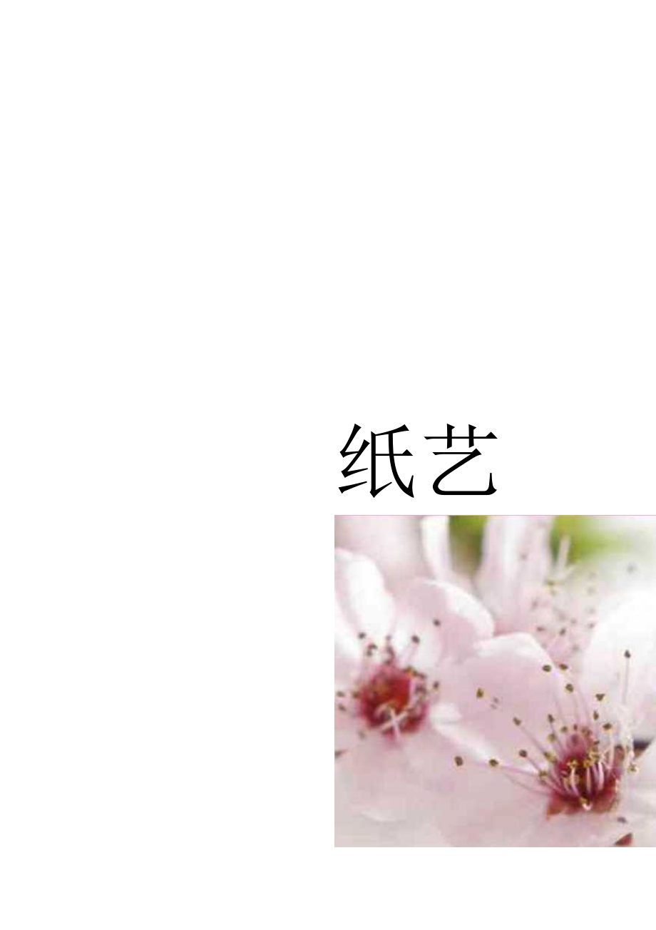 纸编教程 纸艺--纸编艺术.docx_第1页