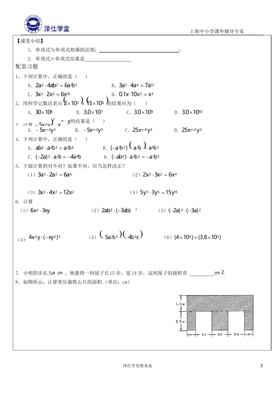 整式的乘法讲义沈上楠.docx_第3页