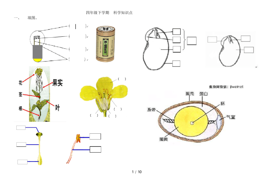 四年级下册科学知识点总结.docx_第1页