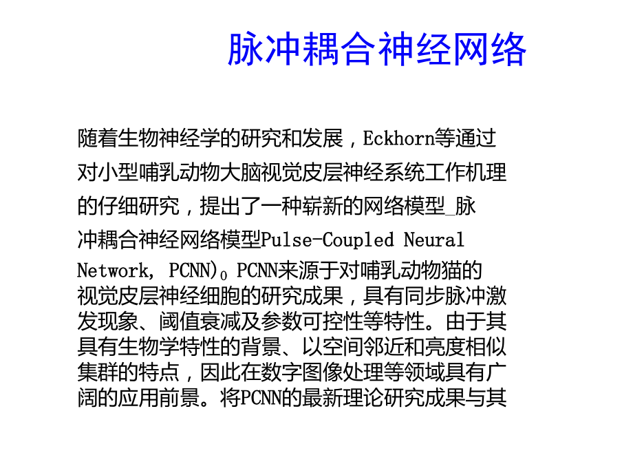 ann11神经网络第十一章脉冲耦合神经网络.doc_第3页