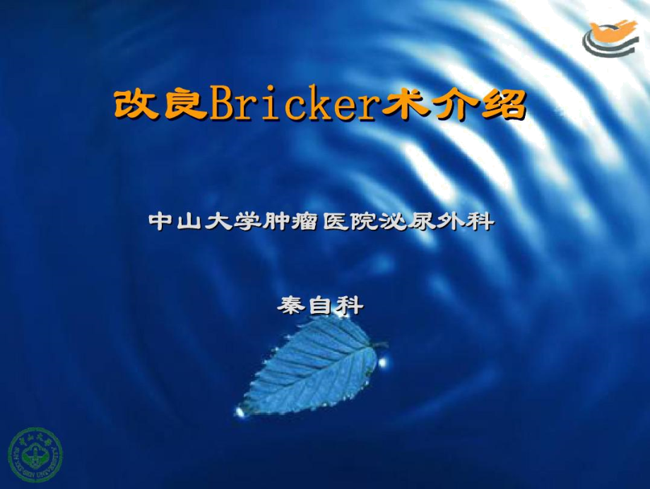 改良Bricker术介绍.doc_第1页