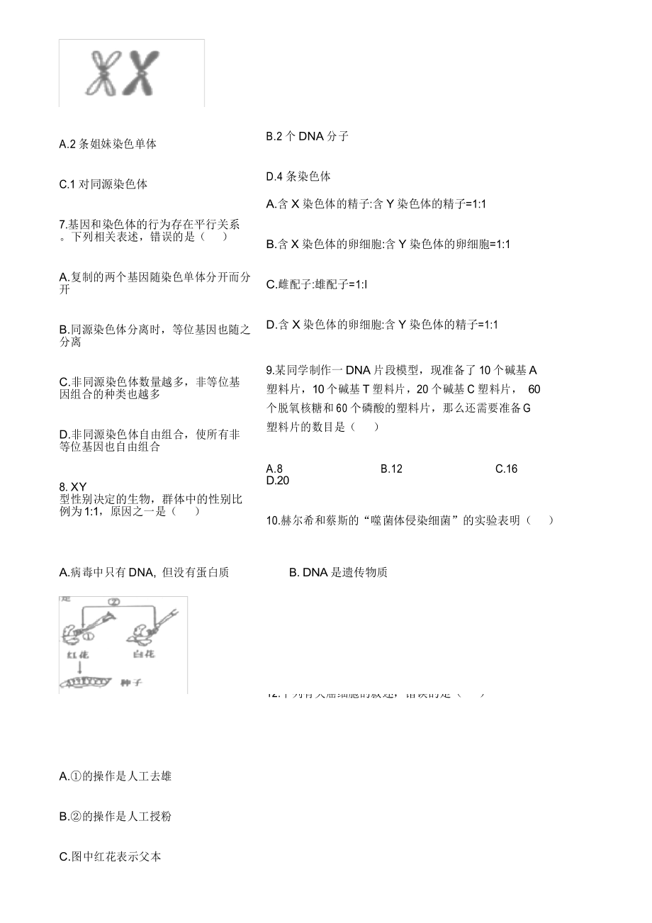 2019-2020学年天津市部分区高一下学期期末考试生物试题.docx_第3页