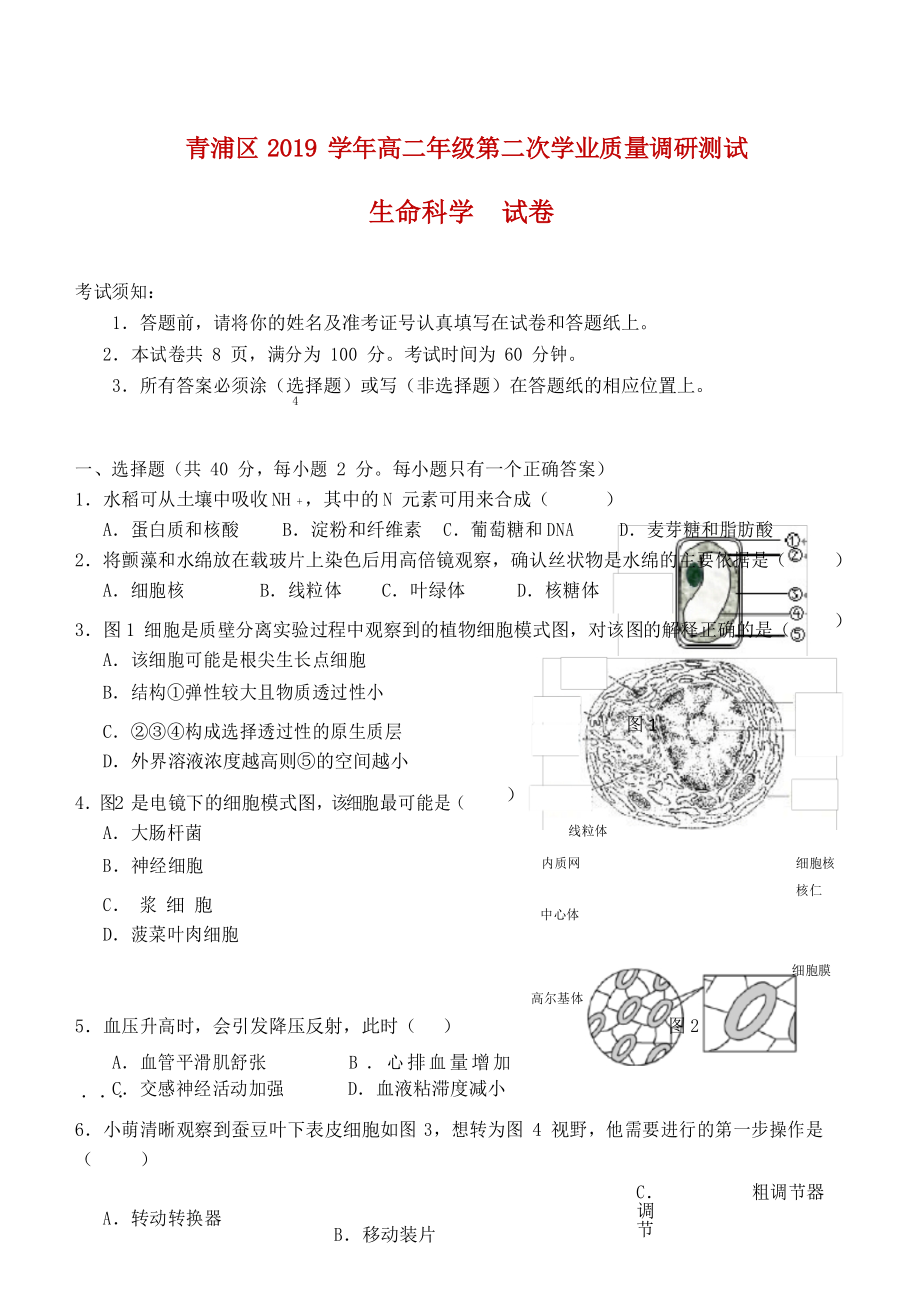 2020届上海市青浦区高三下学期第二次学业质量调研(二模)生物试题.docx_第1页