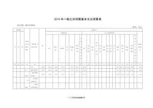 一般公共预算基本支出预算表.doc