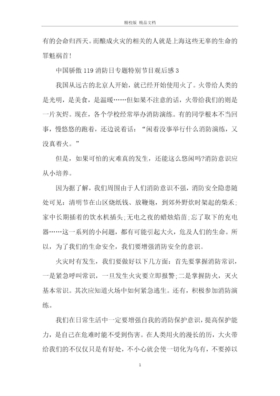 2020中国骄傲119消防日专题特别节目观后感5篇.doc_第3页