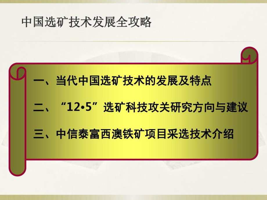 中国选矿技术发展全攻略段其福.doc_第3页