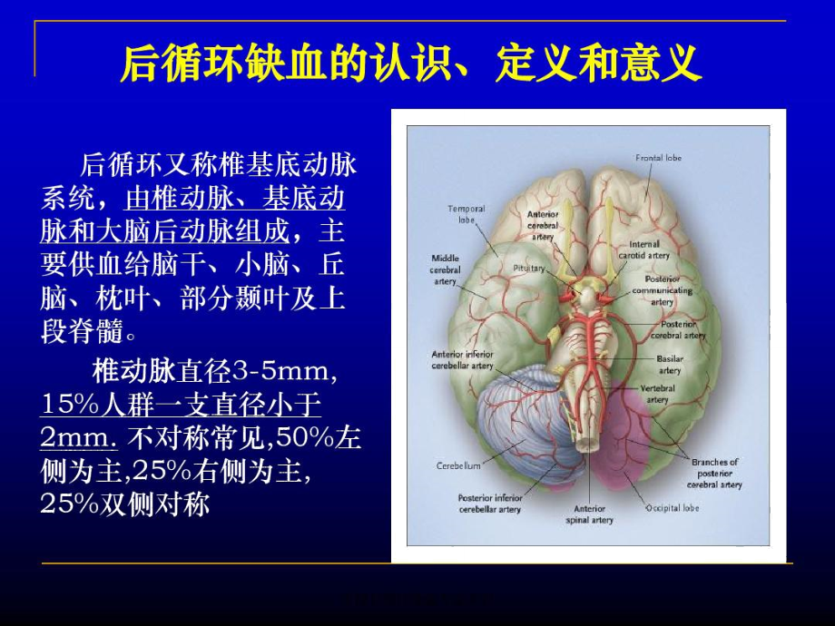 中国PCI共识20[1][1]...doc_第3页