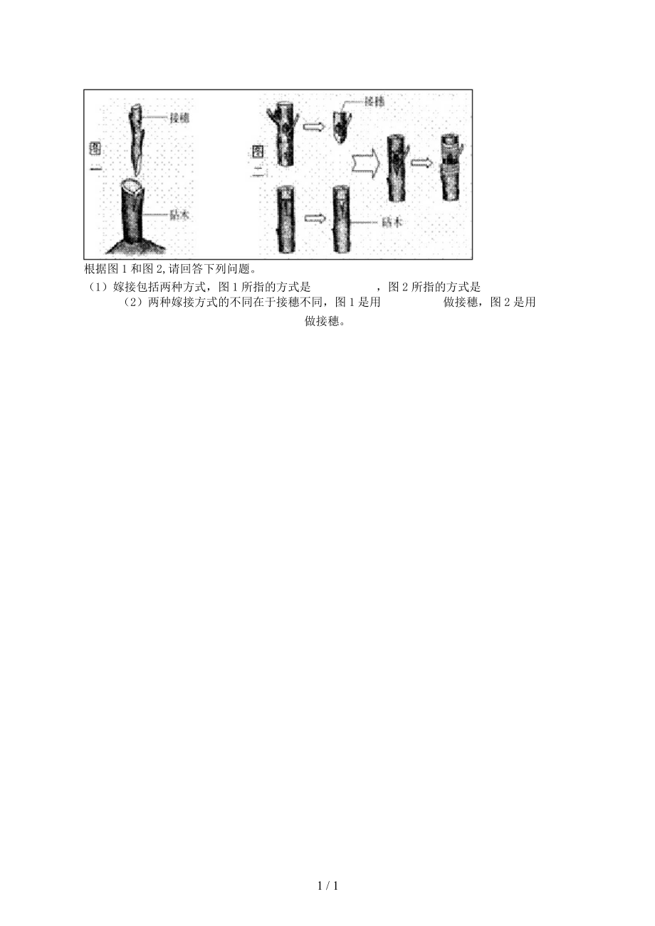 八年级生物下册：植物的生殖能力提升无答案.docx_第3页