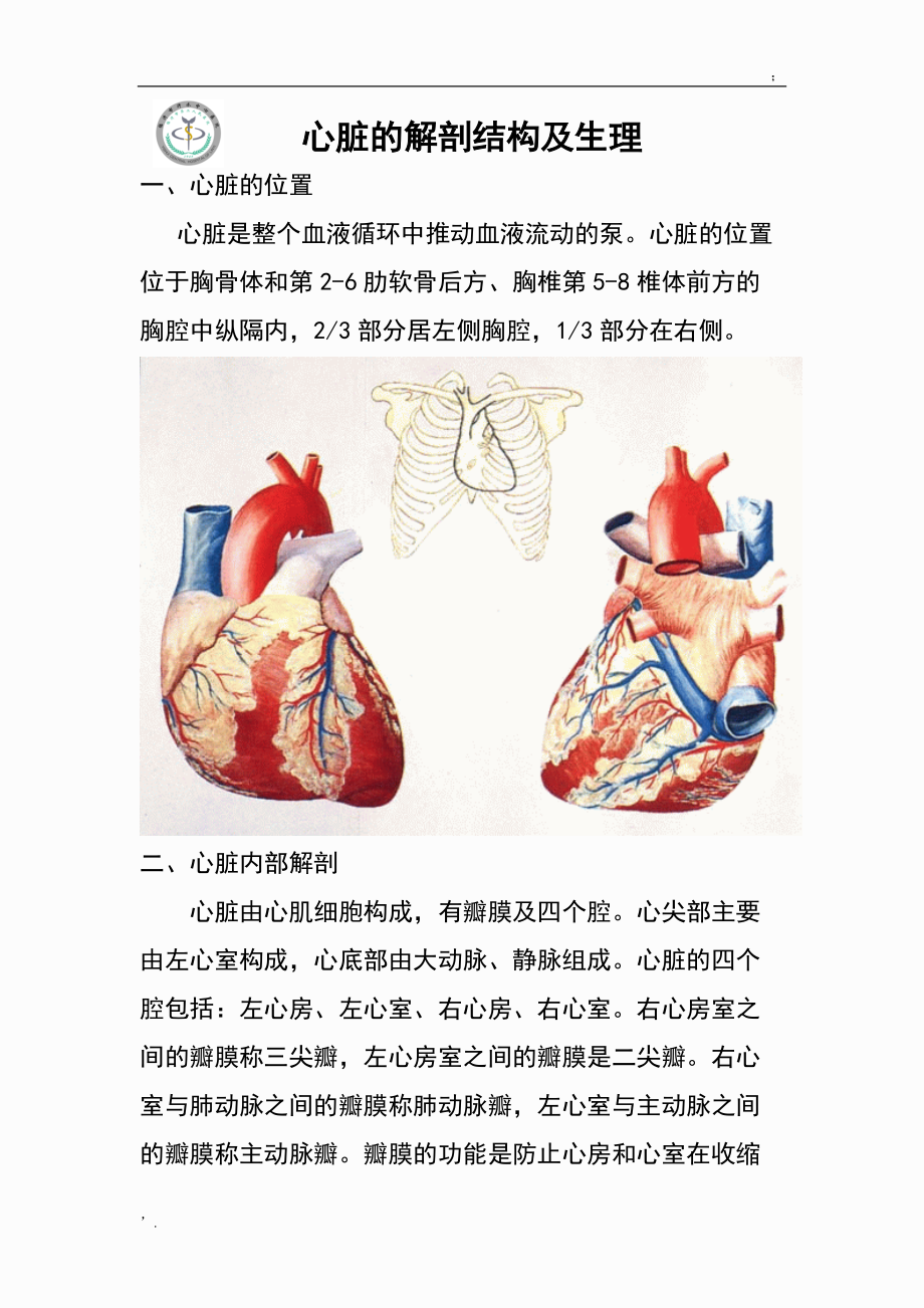 心脏地解剖结构及生理(含彩图).docx_第1页