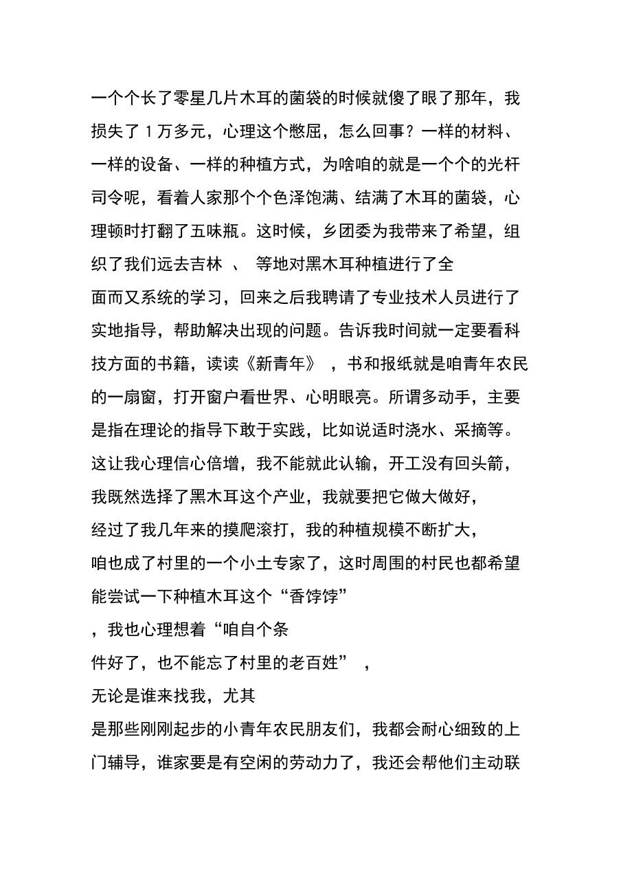 团支部村先进典型发言稿.doc_第2页