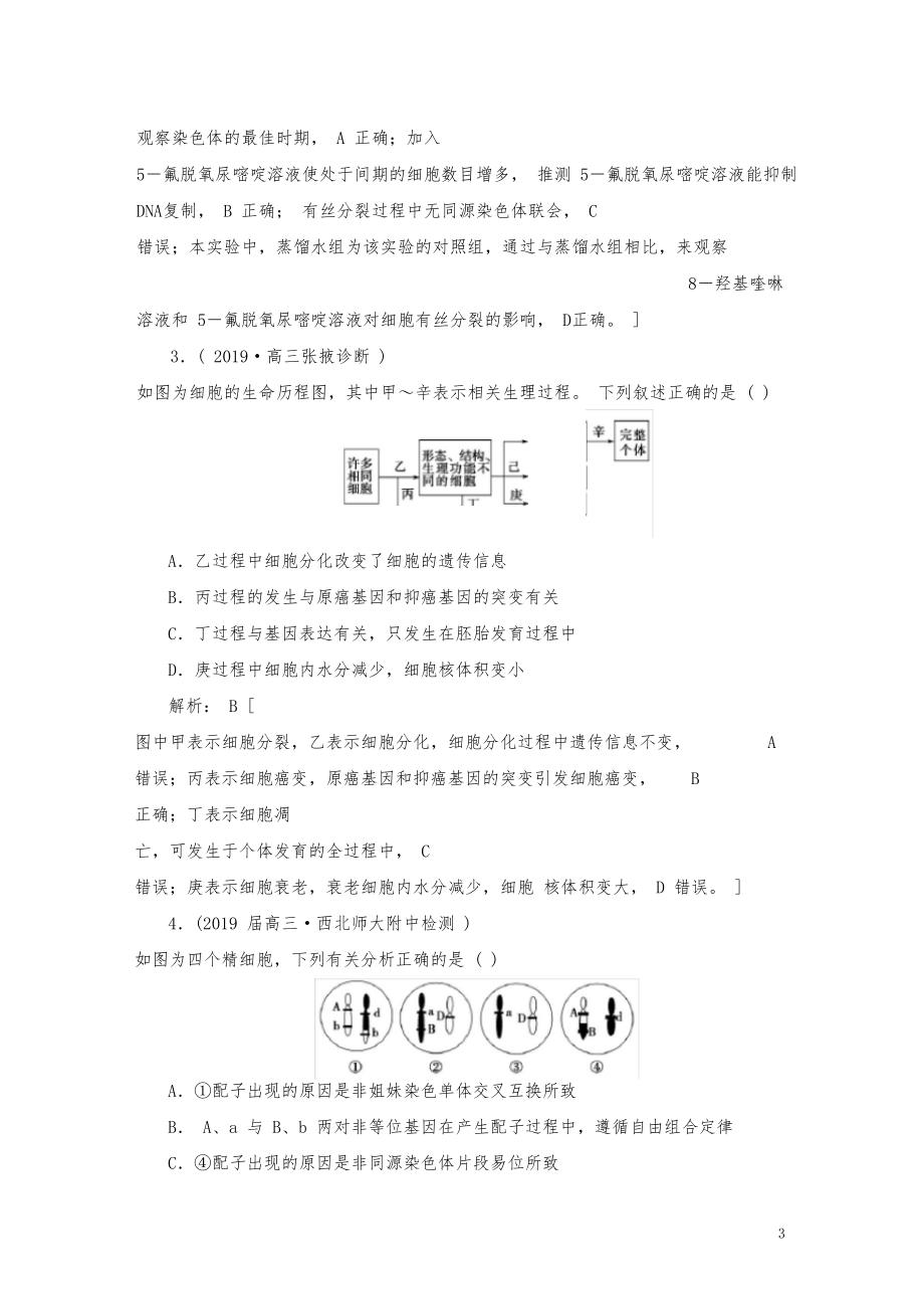 2020高考生物艺考生大二轮总复习上篇专题三细胞的.docx_第3页