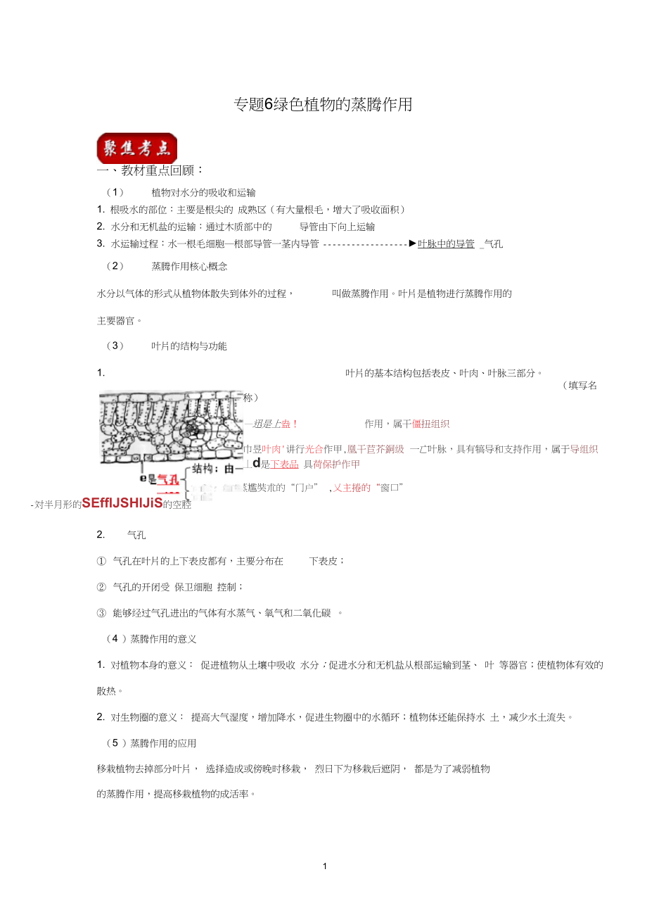 人教版生物中考一轮复习：绿色植物的蒸腾作用(解析版).docx_第1页