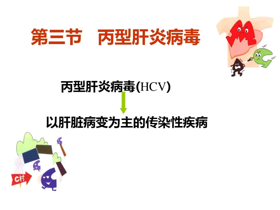 丙型肝炎病毒微生物学-医学资料.docx_第1页