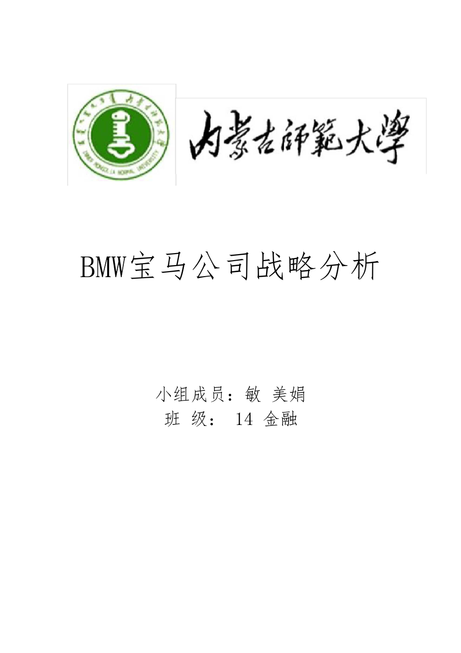 BMW宝马公司战略分析报告.docx_第1页