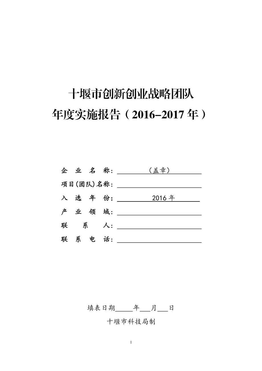 十堰市创新创业战略团队.doc_第1页