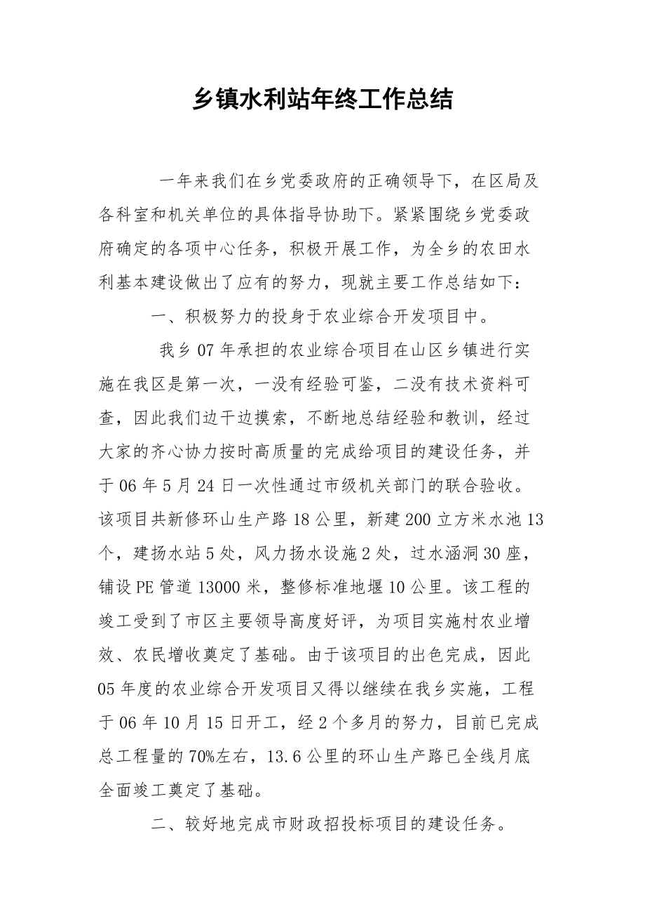 乡镇水利站年终工作总结.docx_第1页