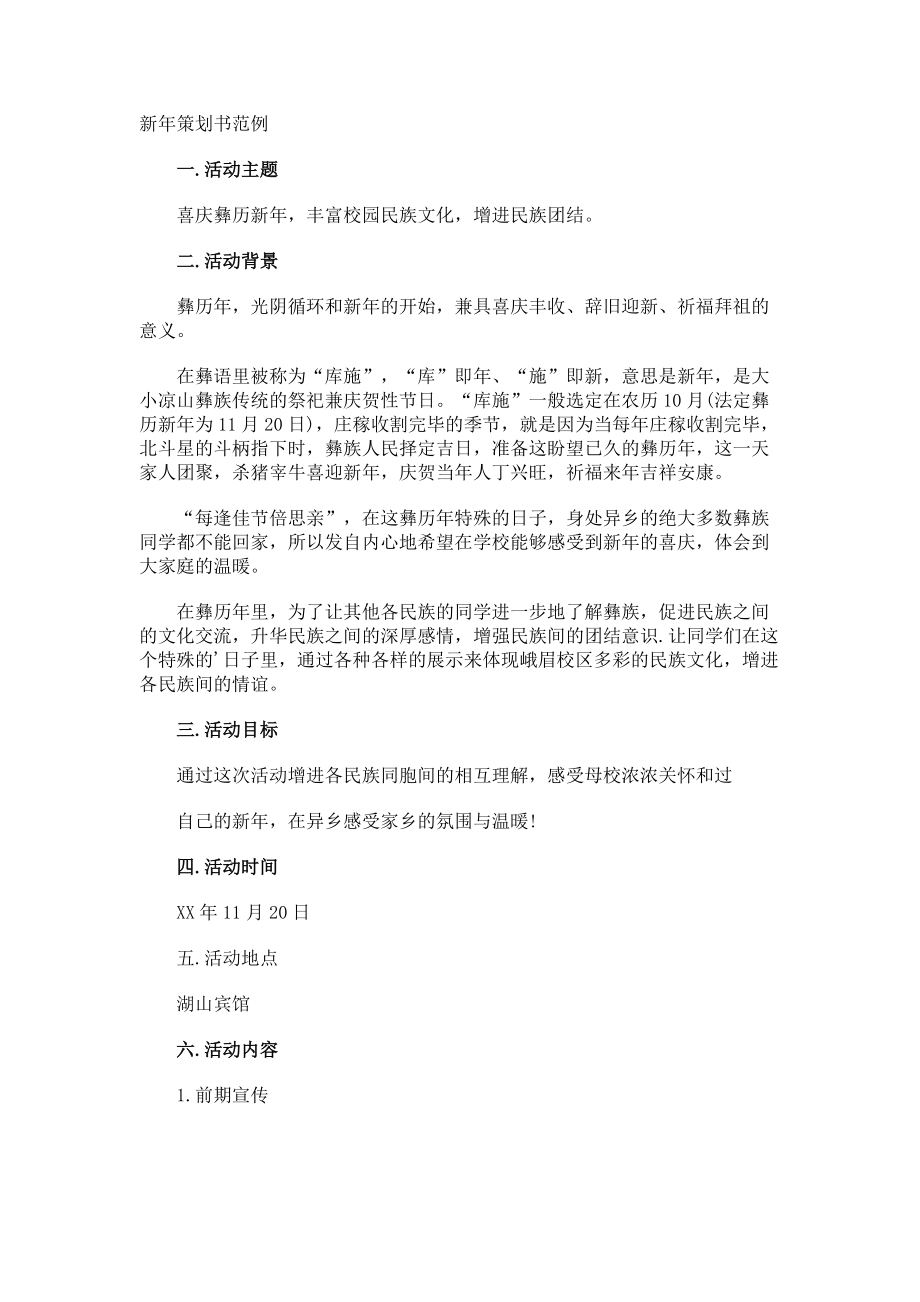 新年策划书.docx_第1页