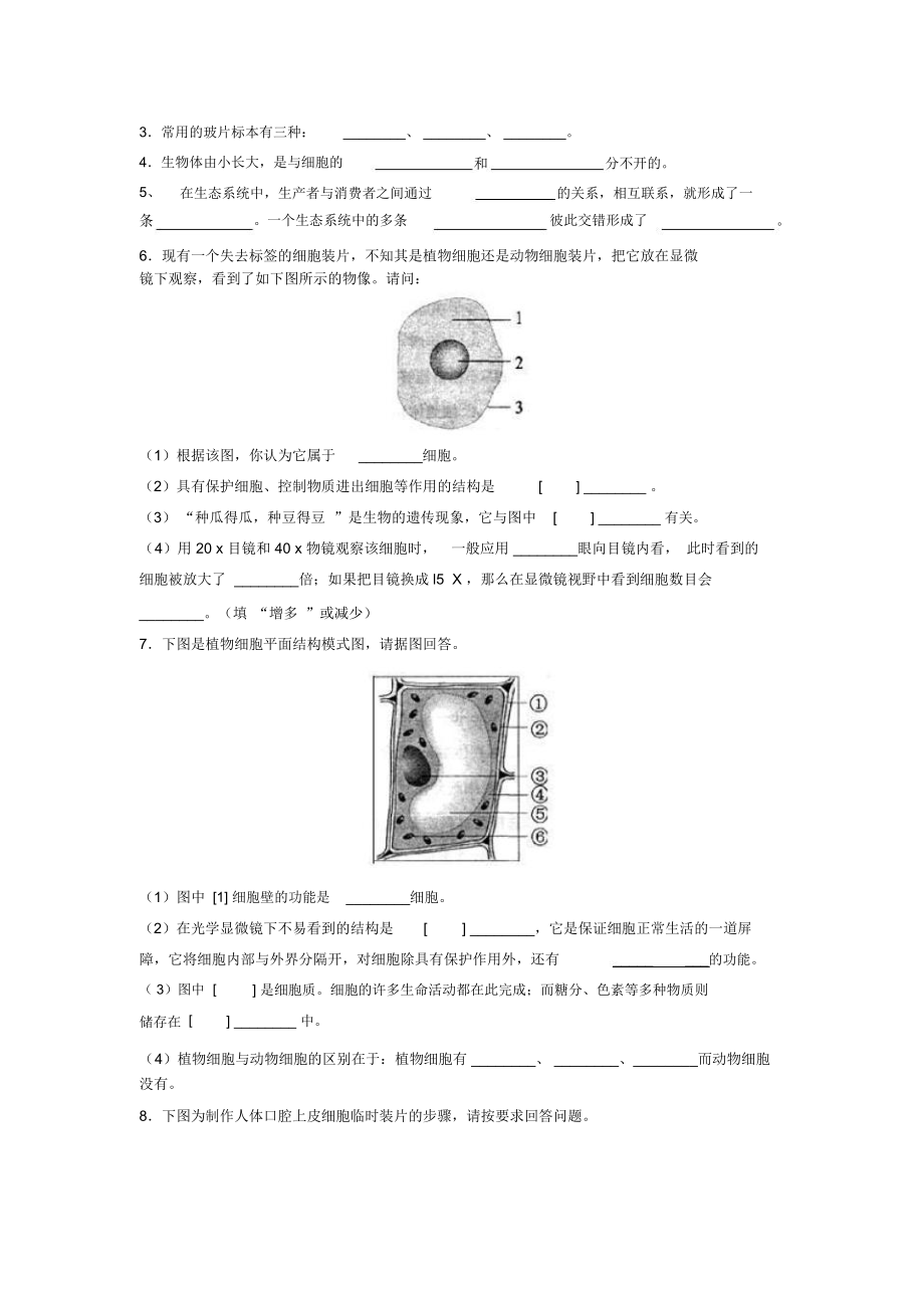 初中七年级上册生物期中考试试卷.docx_第3页