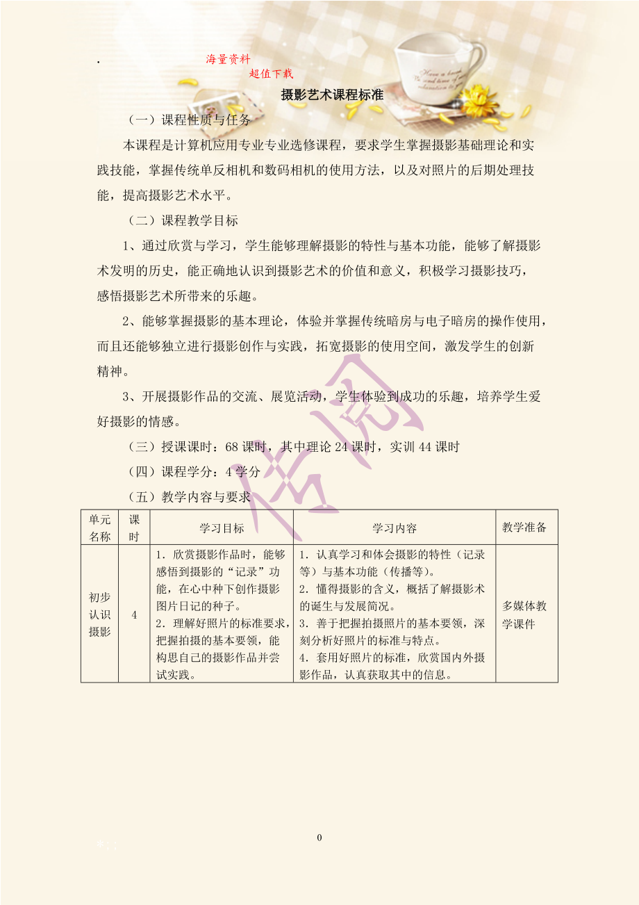 摄影艺术课程标准.docx_第1页