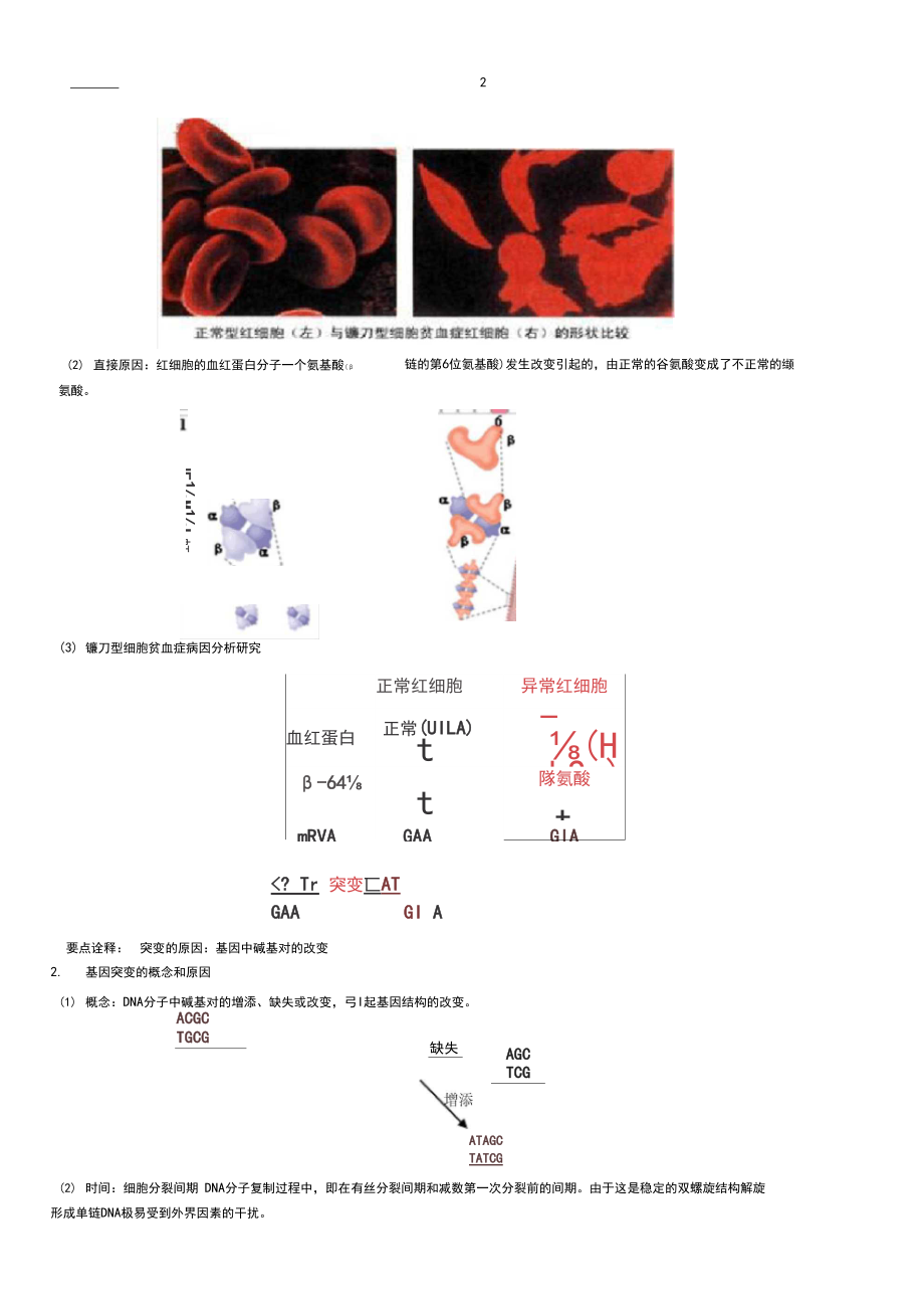 基因的突变和基因重组知识讲解.docx_第2页