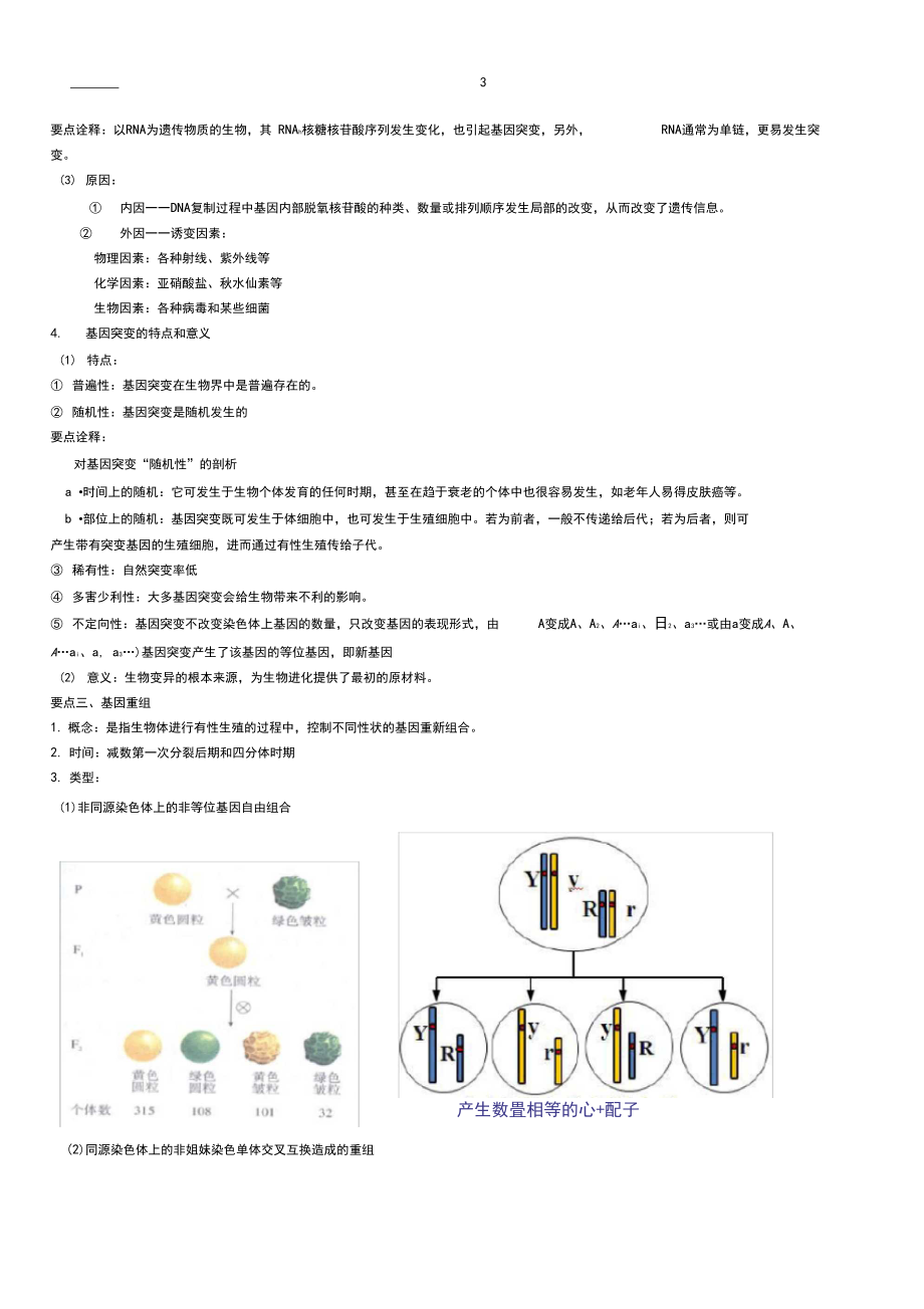 基因的突变和基因重组知识讲解.docx_第3页