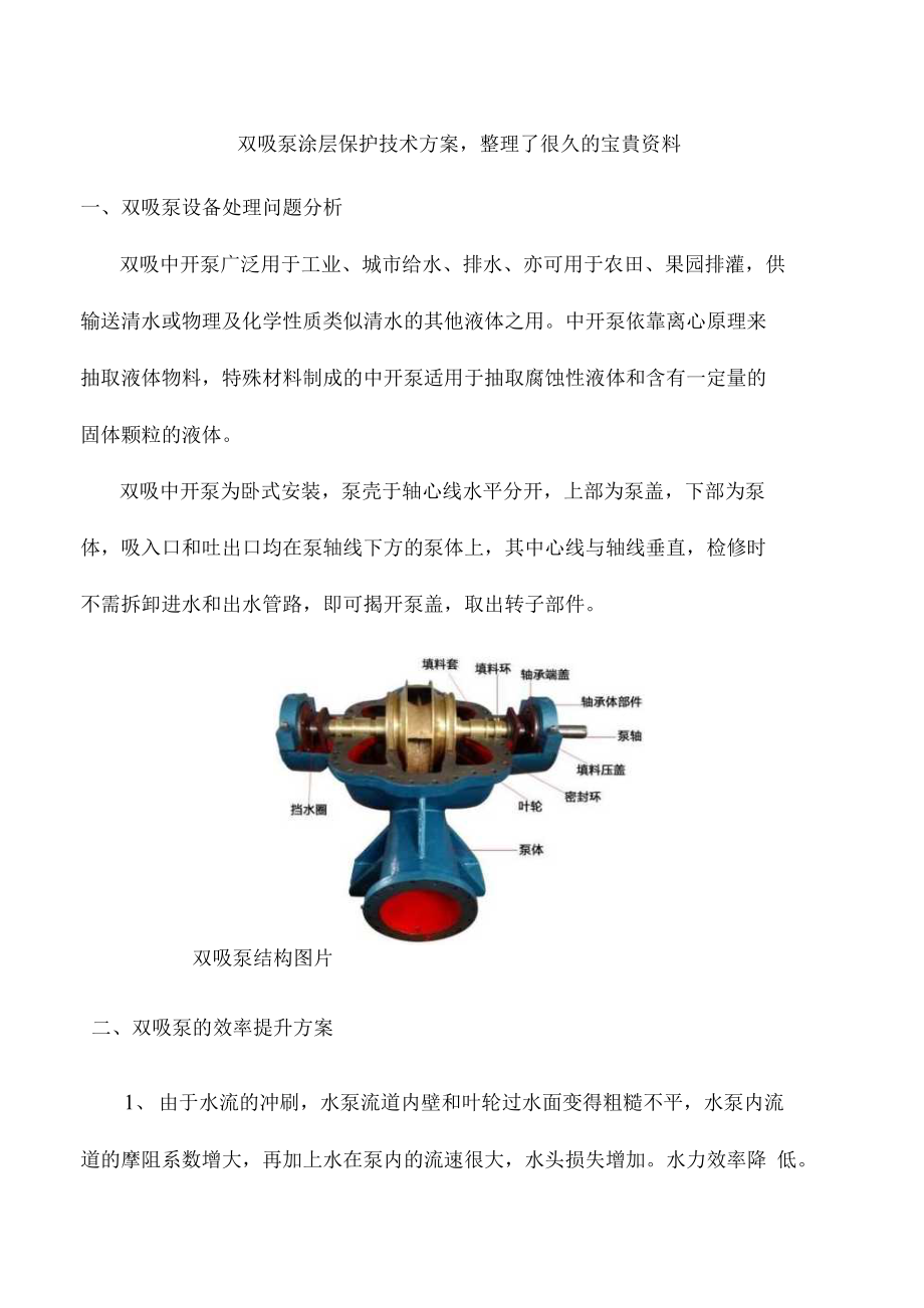 双吸泵涂层保护技术方案整理了很久的资料.docx_第1页