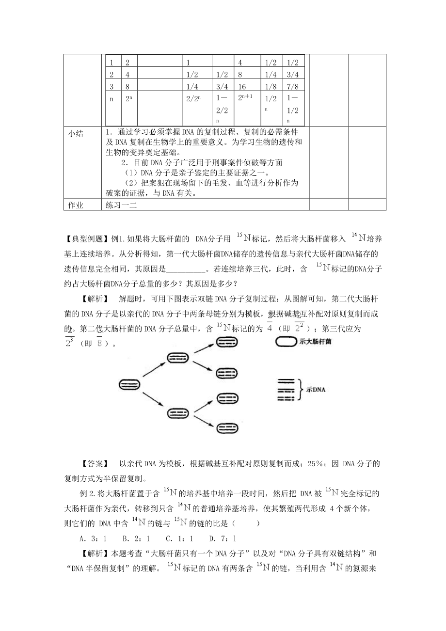 233DNA的复制.doc_第3页