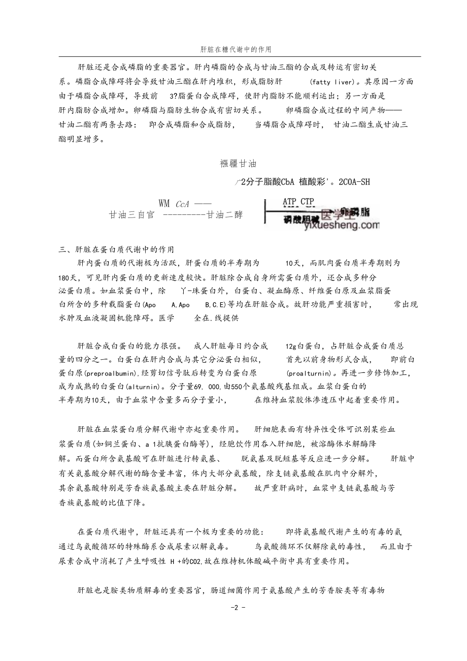 肝脏在物质代谢中的作用.docx_第2页