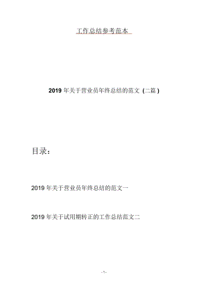 2019年关于营业员年终总结的范文(二篇).doc