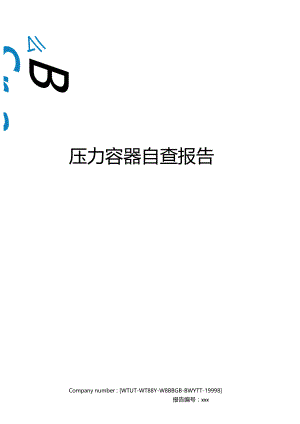 压力容器自查报告.docx