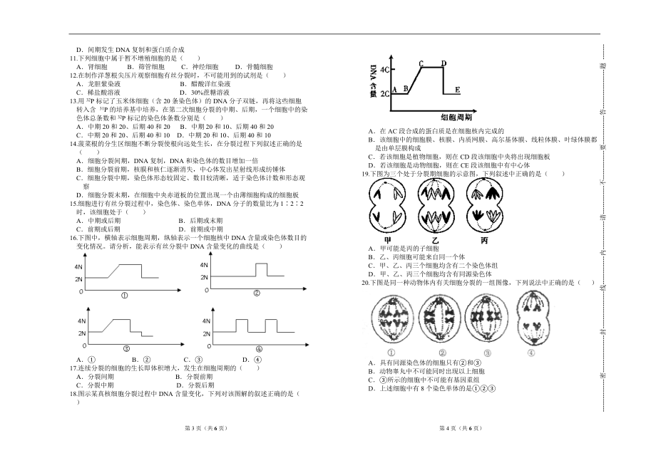 高中生物必修一单元测试4--细胞增殖.docx_第2页