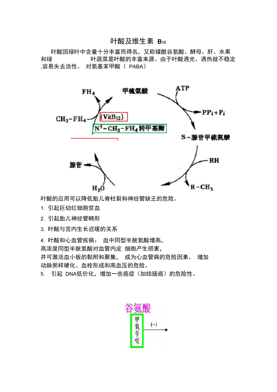 叶酸及维生素B12.doc_第1页