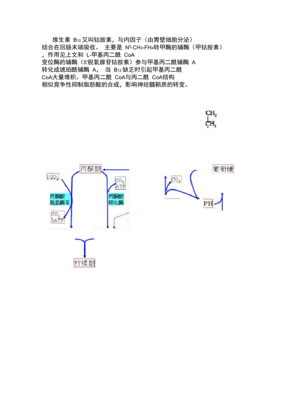 叶酸及维生素B12.doc_第2页