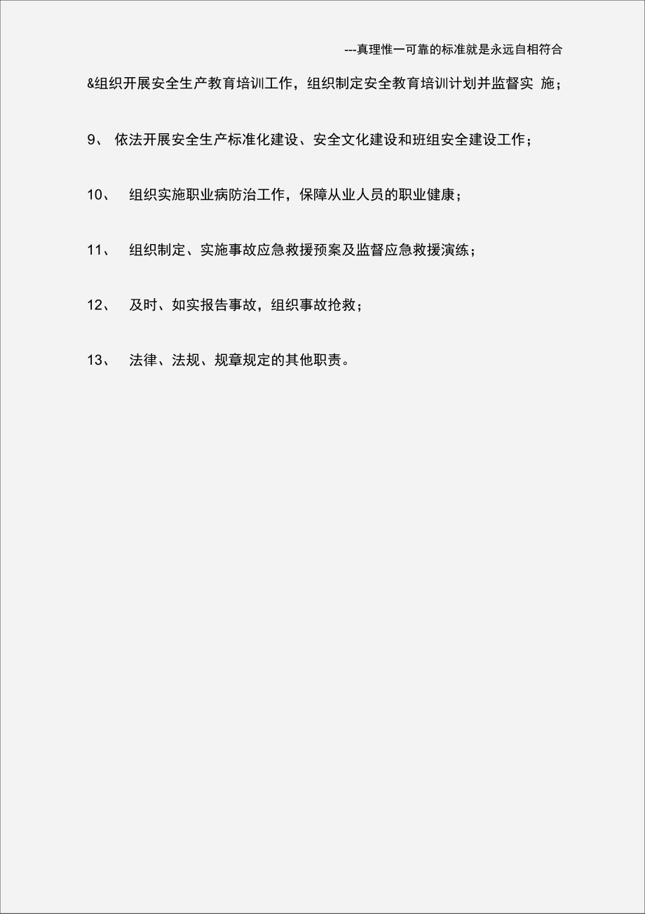 公司负责人安全管理职责.doc_第2页