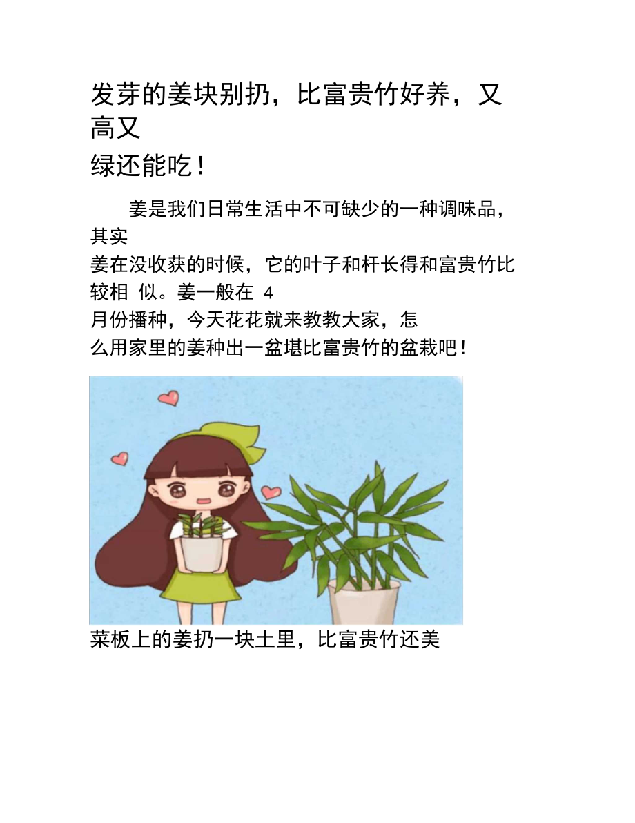 发芽的姜块别扔,比富贵竹好养,又高又绿还能吃!-养花技巧.doc_第1页