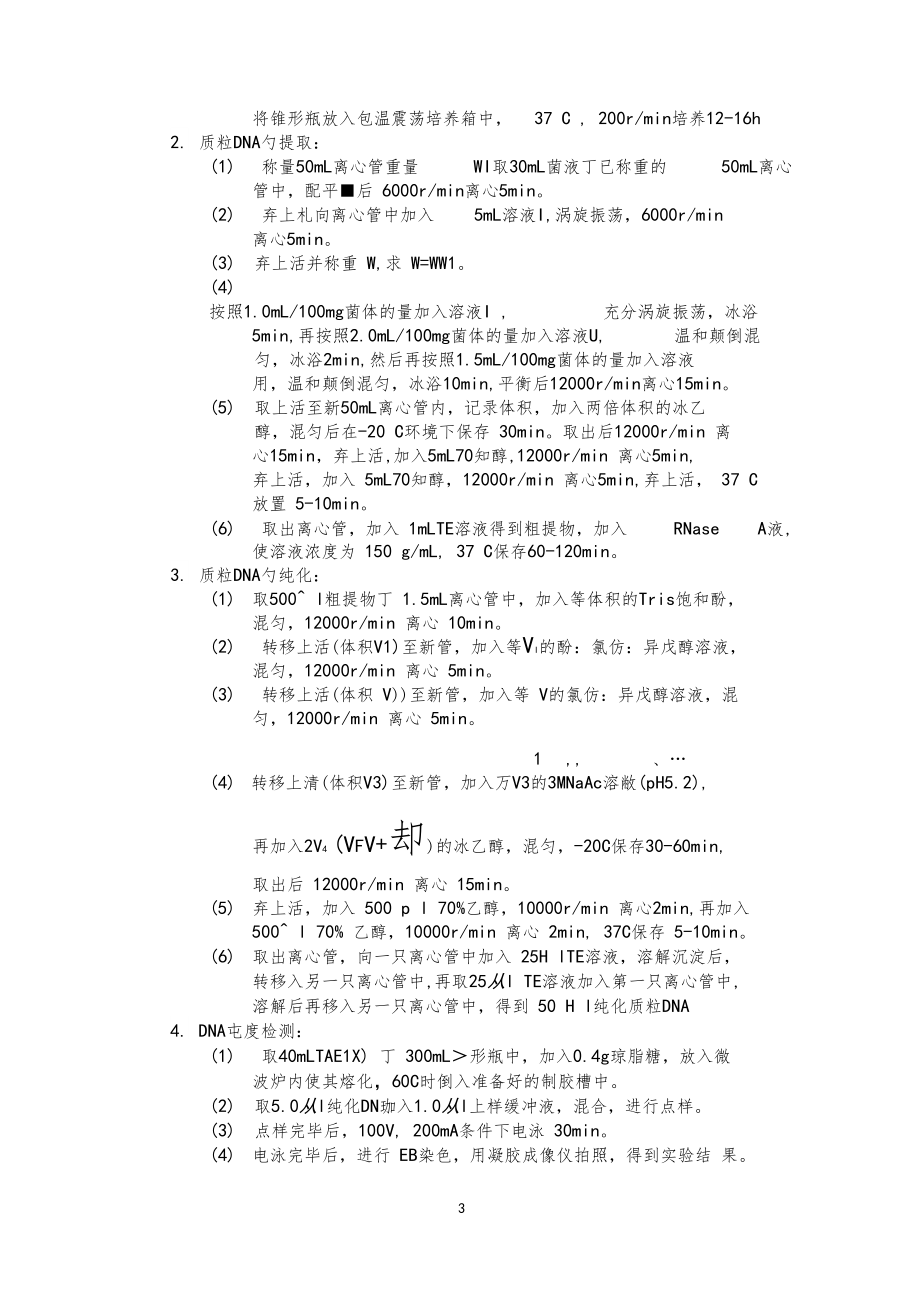 质粒DNA的提取纯化与鉴定.docx_第3页