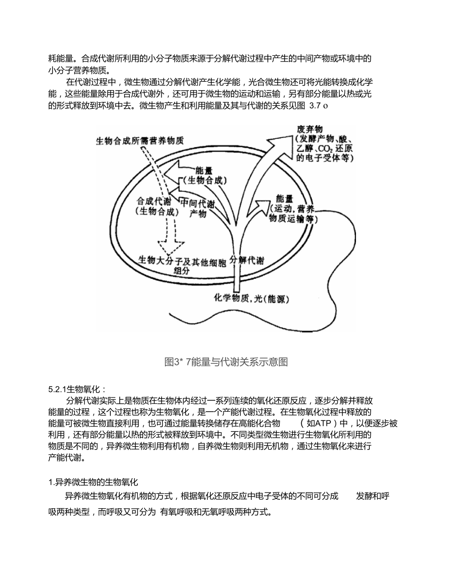 微生物的产能代谢.doc_第2页