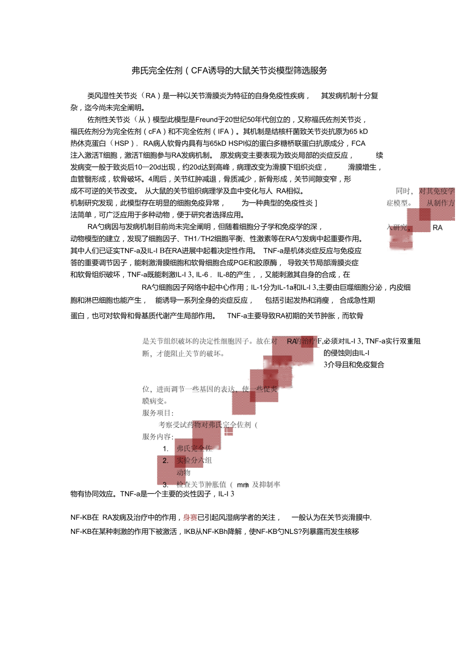 弗氏完全佐剂(CFA)诱导的大鼠关节炎模型筛选.doc_第1页