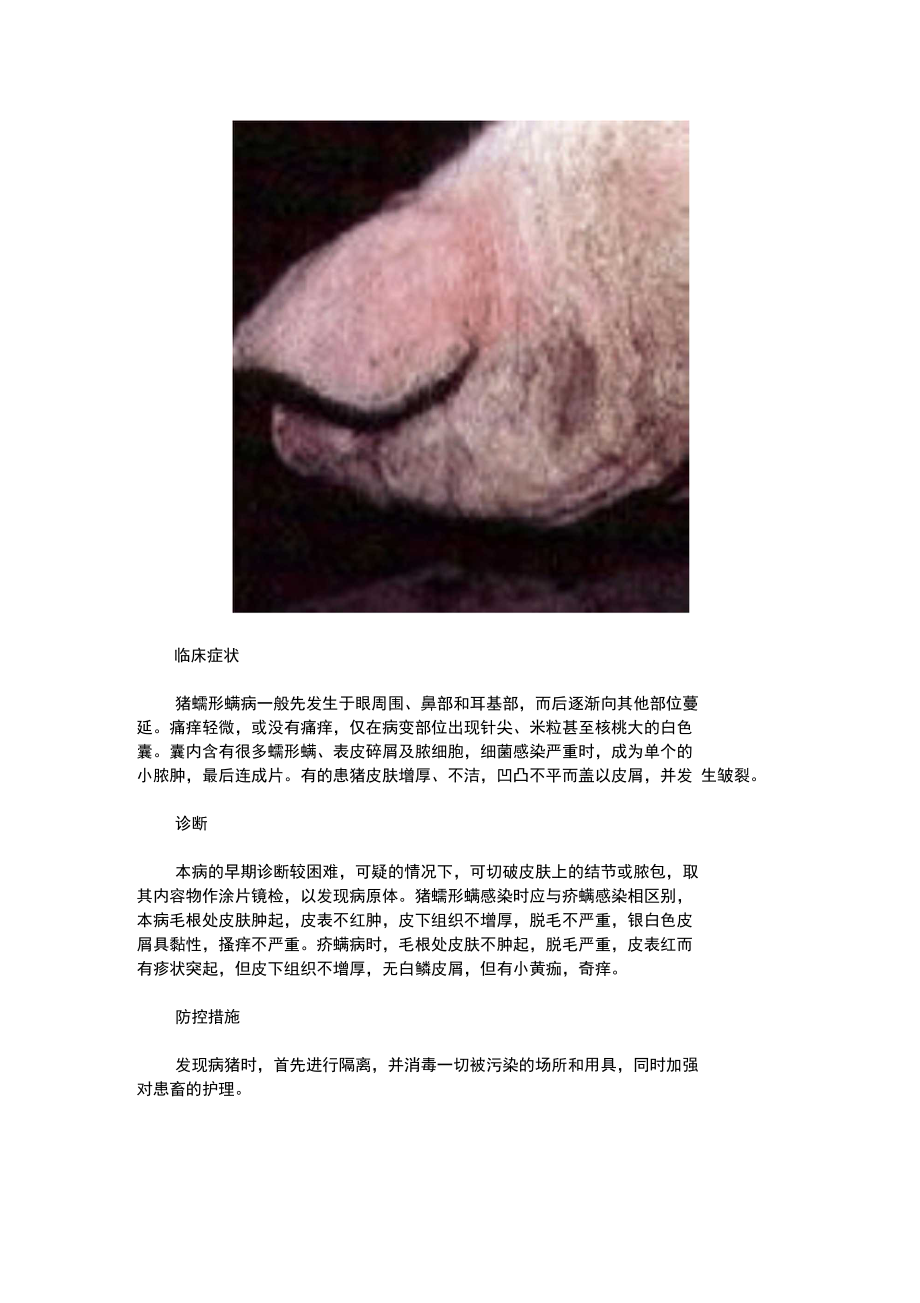 猪蠕形螨虫病的防治方法.doc_第2页