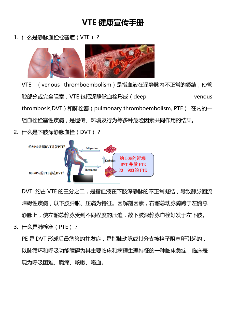 VTE健康宣传手册.doc_第1页