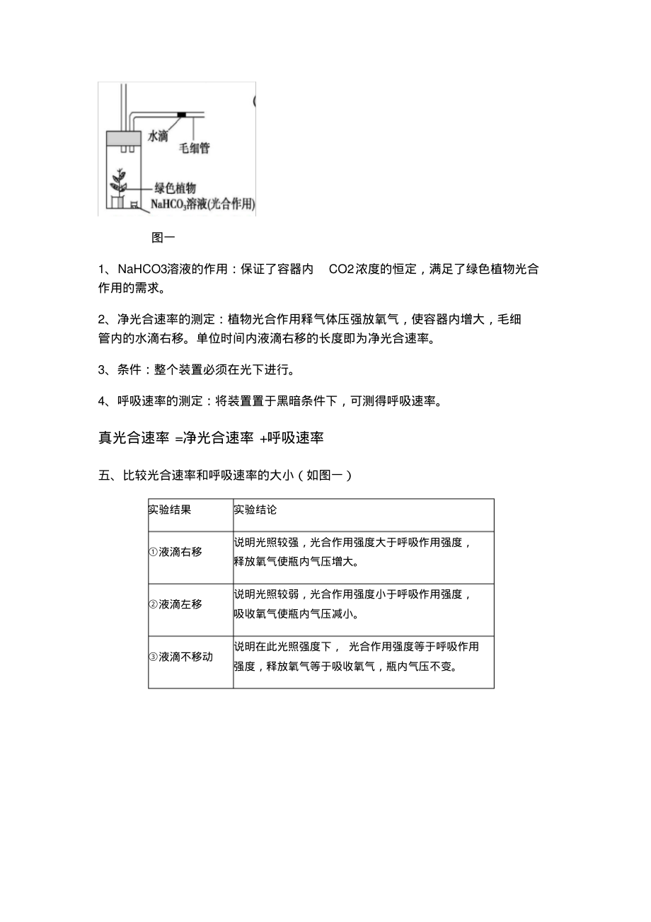 呼吸与光合液滴移动问题知识点总结.pdf_第3页