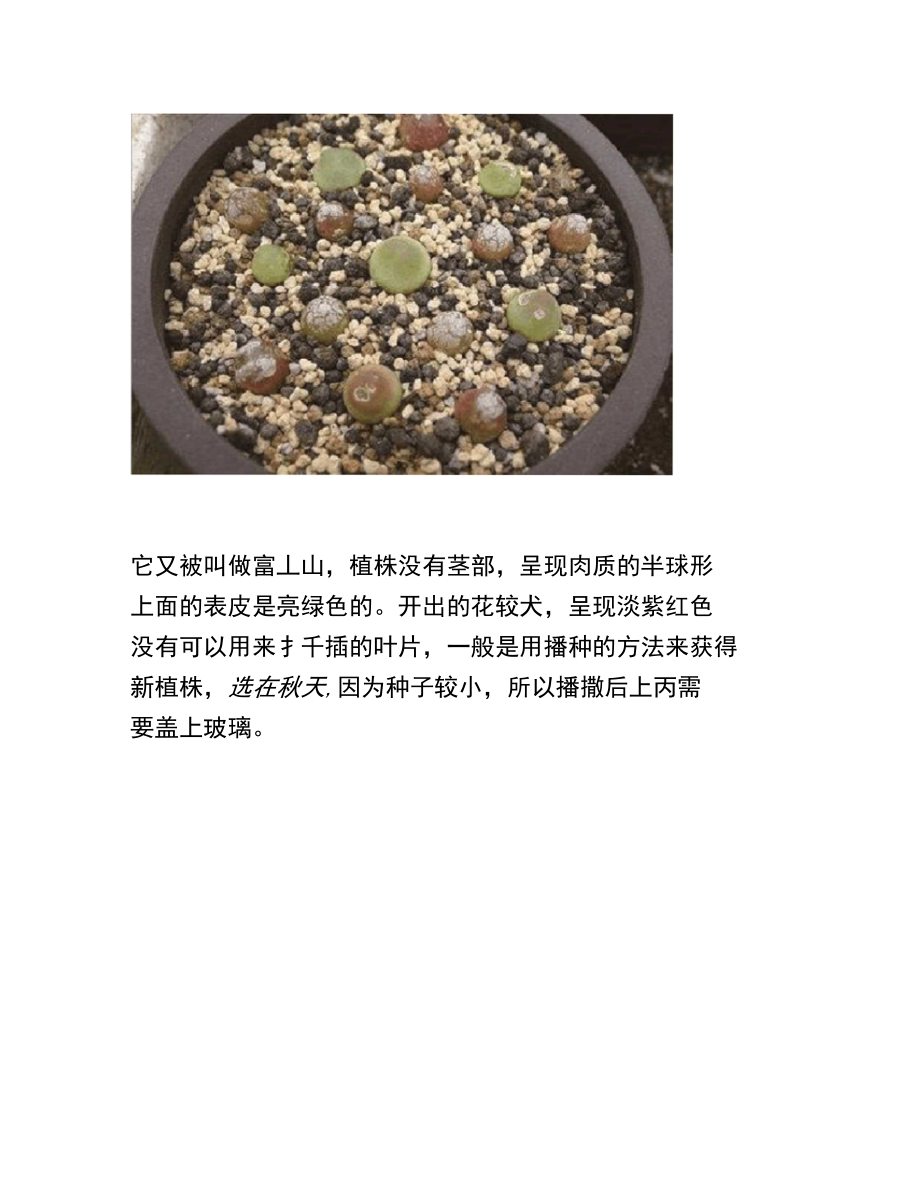 哪些多肉不能叶插.doc_第3页