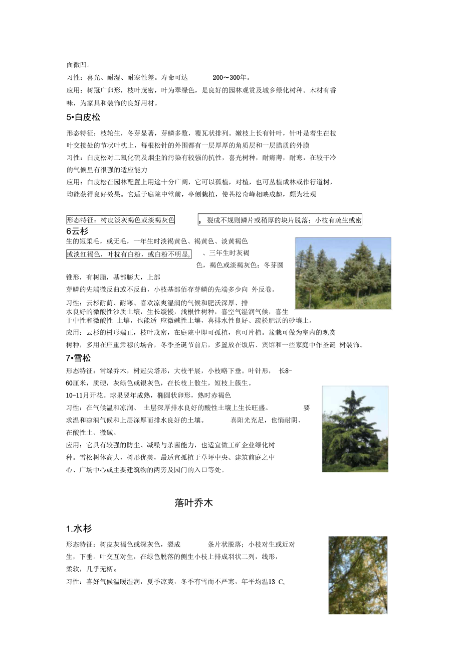 园林植物实习报告.doc_第3页