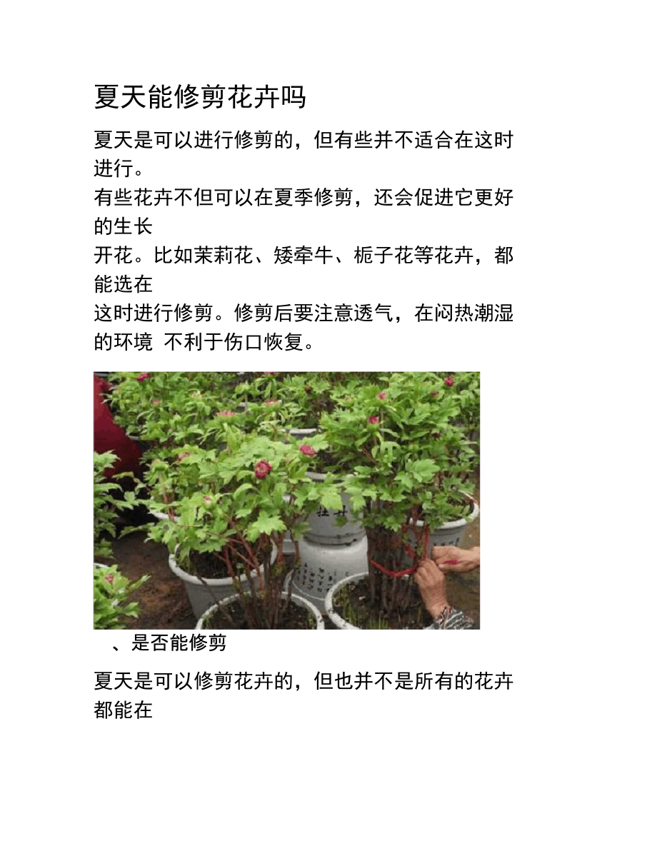 夏天能修剪花卉吗.doc_第1页