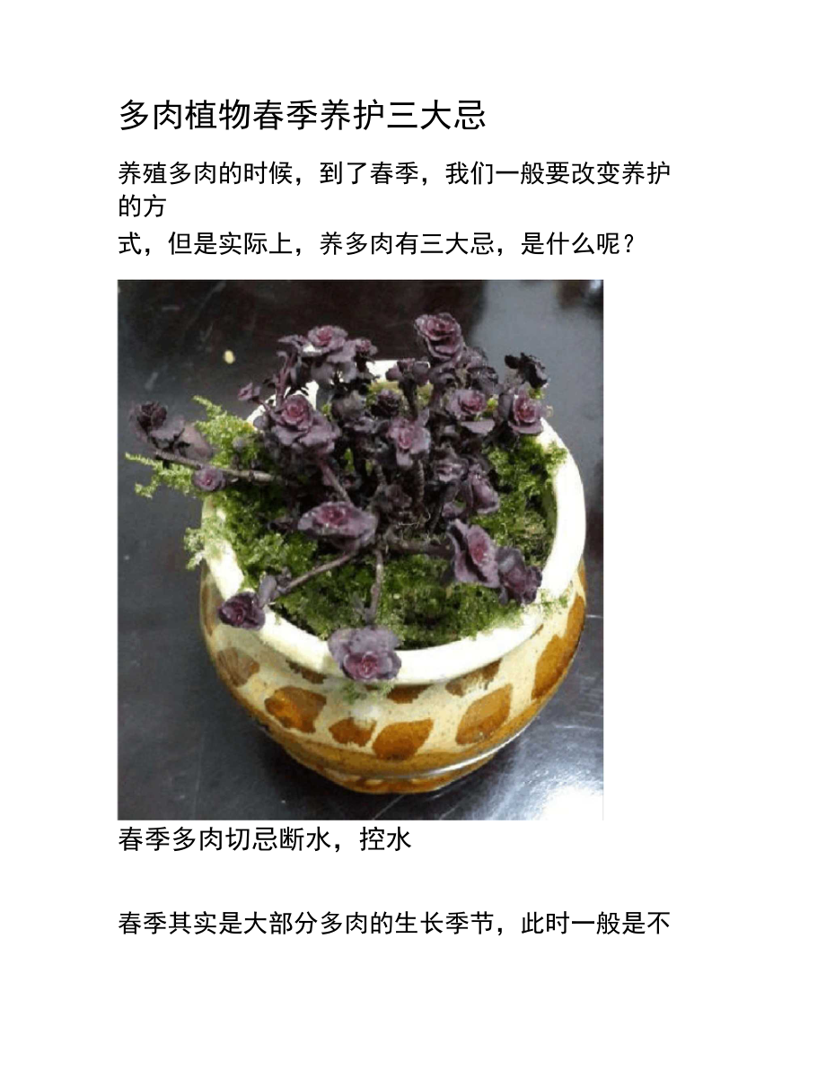 多肉植物春季养护三大忌.doc_第1页