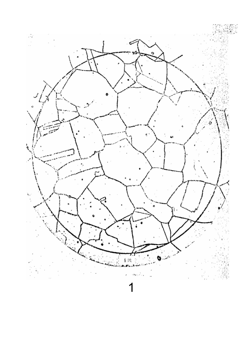 晶粒度标准评级系列图.doc_第2页