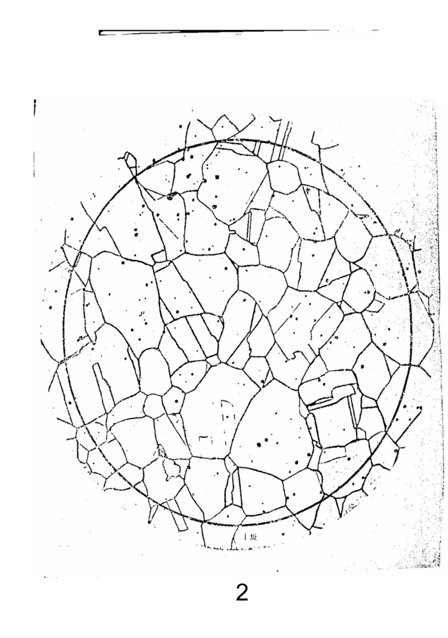 晶粒度标准评级系列图.doc_第3页